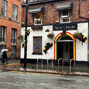 The New Union